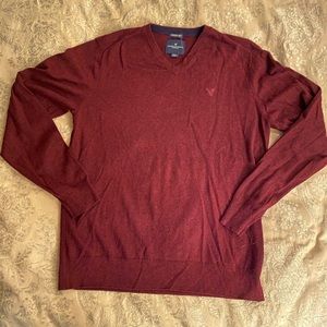 EUC American Eagle V-neck sweater. Seriously soft, size medium.